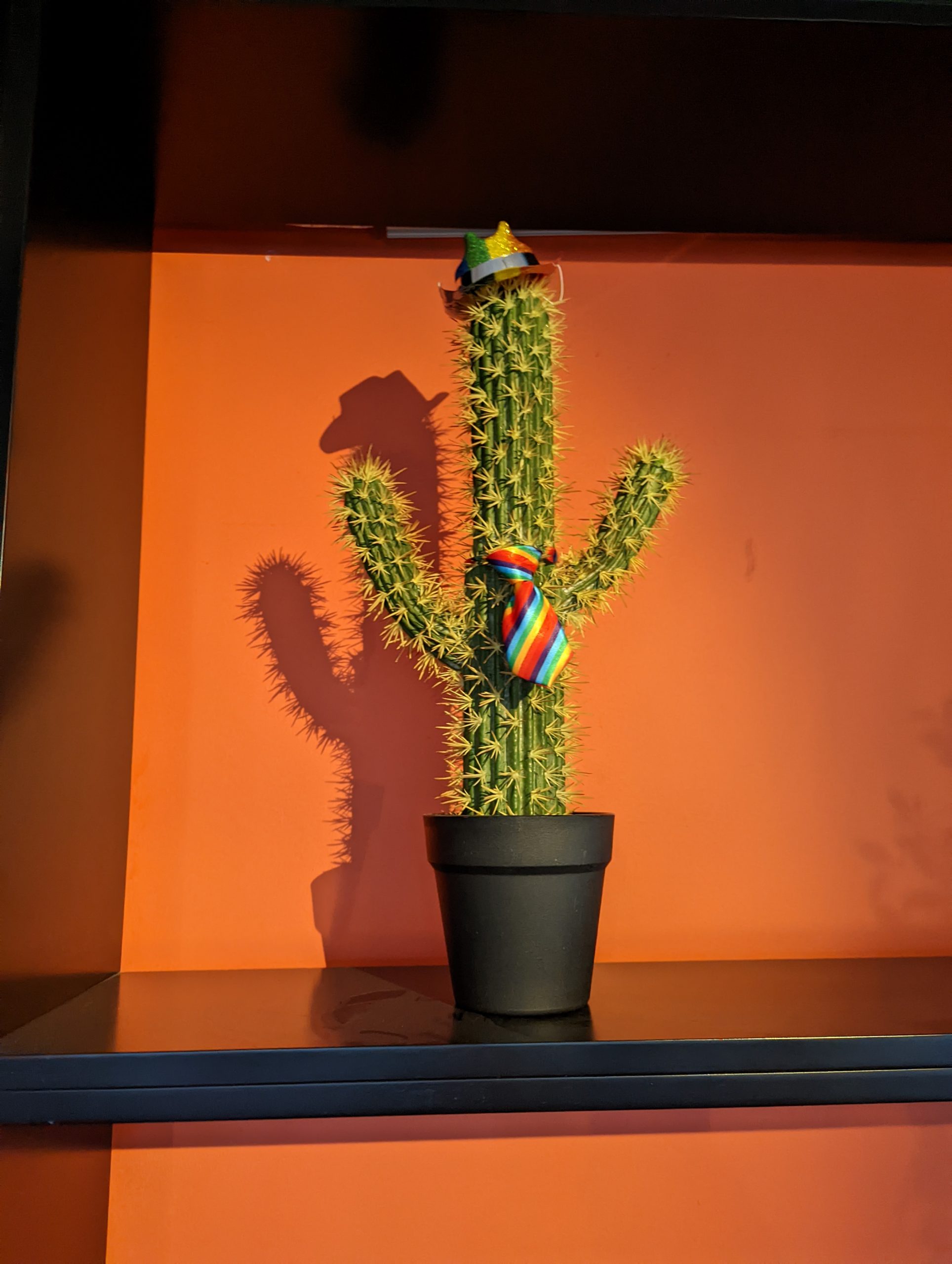 a cactus with a rainbow colored tie and cowboy hat