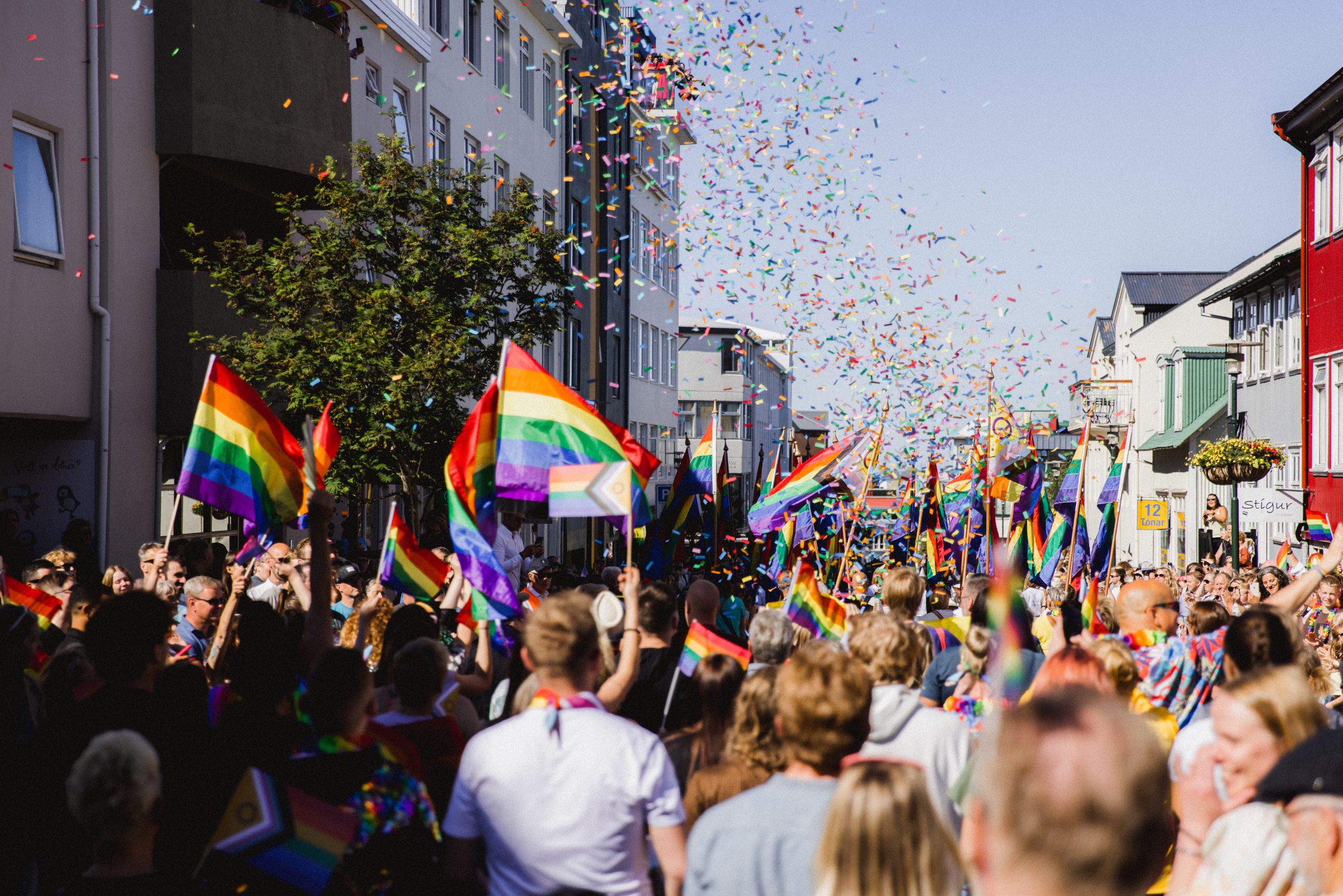 Survey for Reykjavík Pride 2024